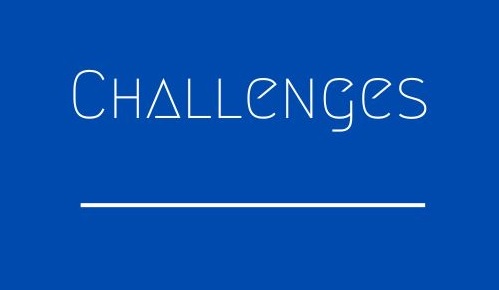 Challenges Services aux Marques