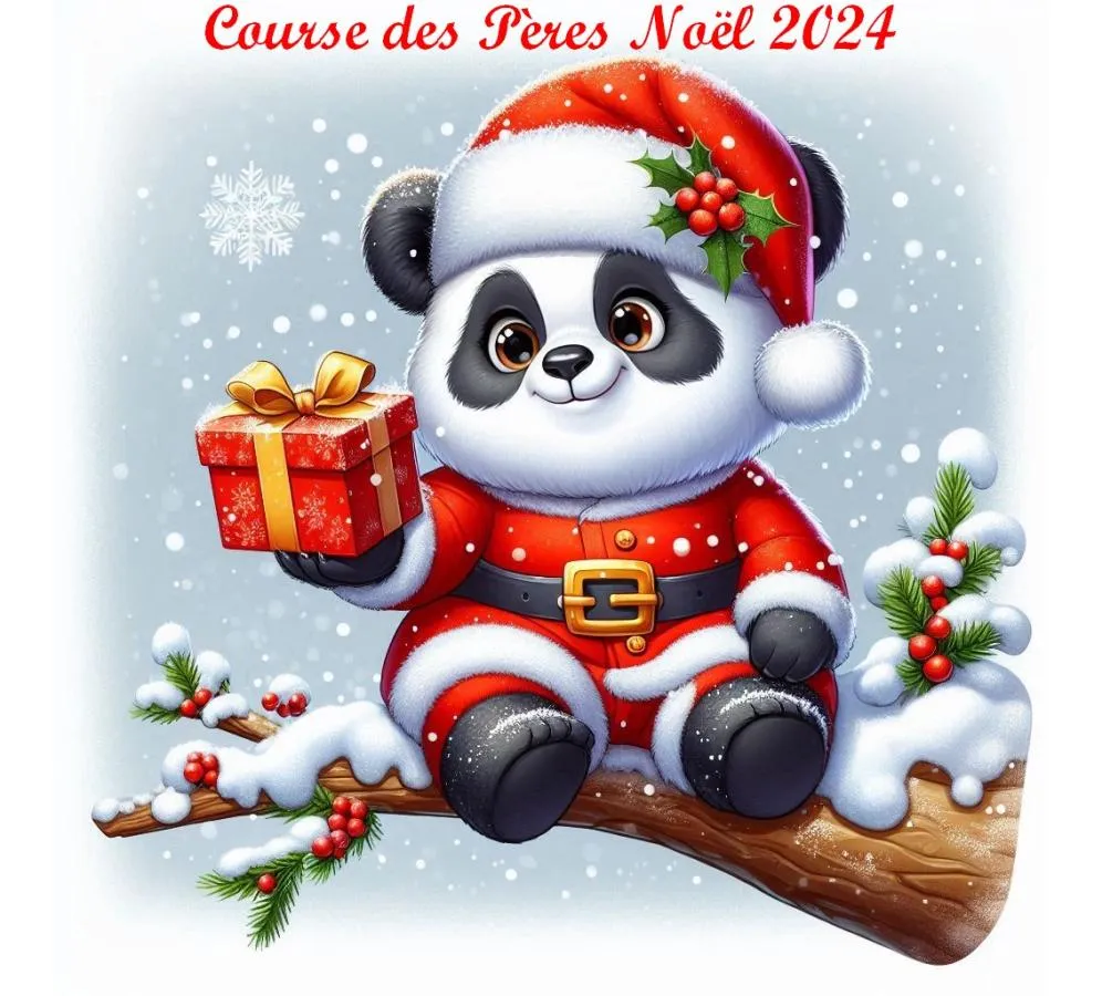 Course des Pères Noël – Saint Benoit 2025 Inscription Résultats