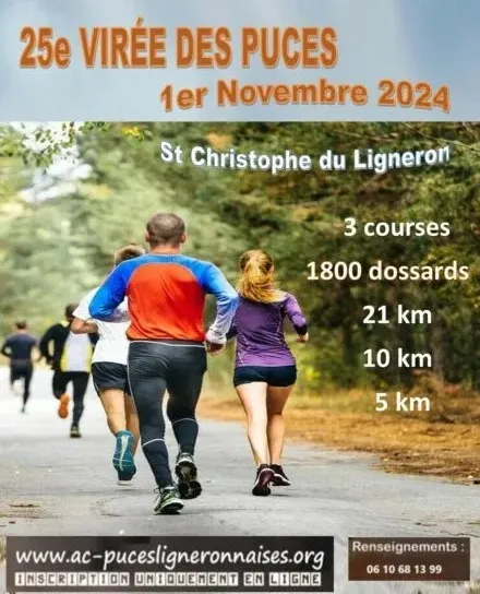 La Viree des Puces 2025 Inscription Résultats