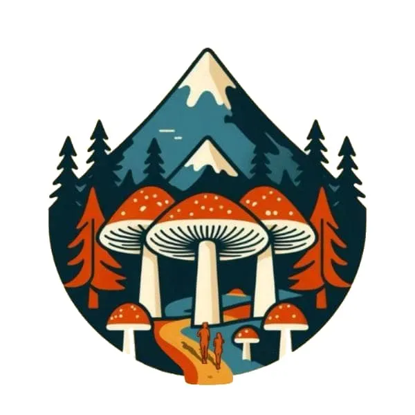 Trail des Champignons 2025 Inscription Résultats