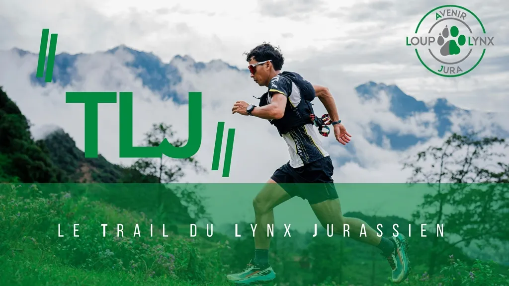 Trail du Lynx Jurassien 2026 Guide Inscription Résultats