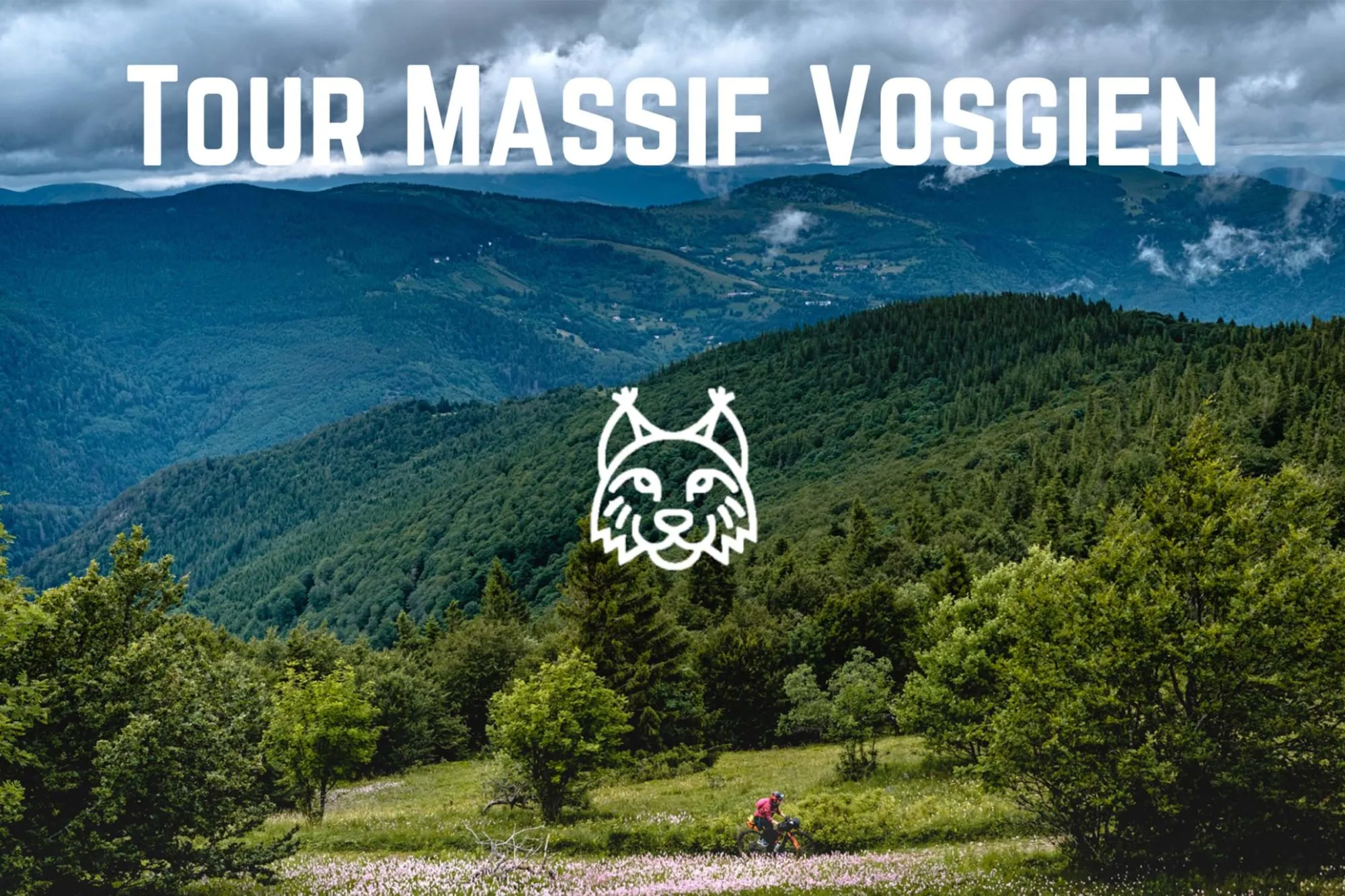 Tour Massif Vosgien 2026 Guide Inscription Résultats