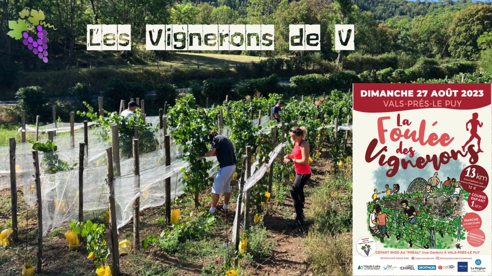 Foulée des Vignerons – Vals Pres le Puy 2026 Guide Inscription Résultats