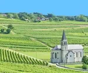 Run The Vines Jongieux 2026 Guide Inscription Résultats