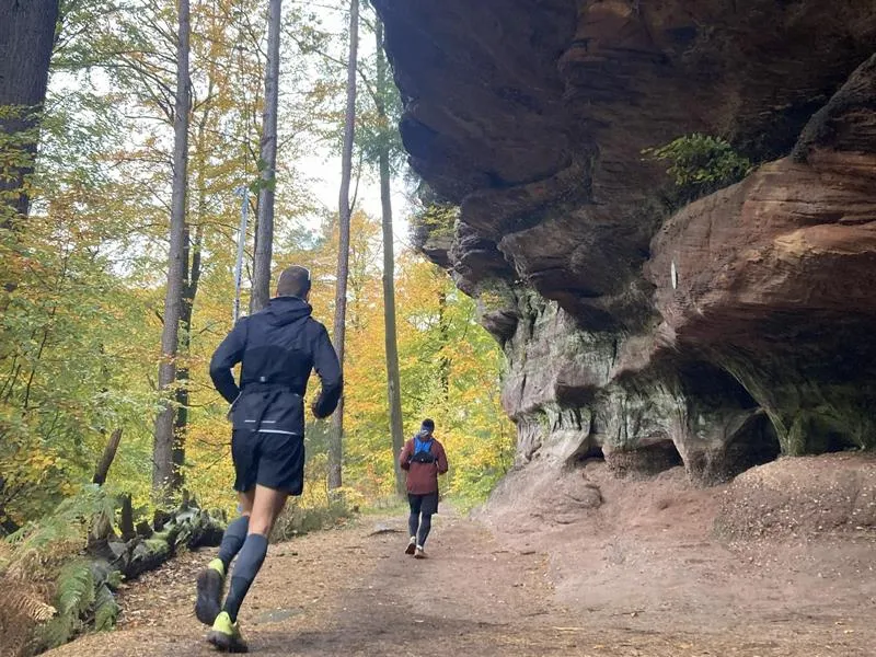 Trail des 3 Rochers 2026 Guide Inscription Résultats